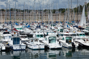Désinsectisation dératisation Concarneau